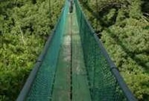 Sky Way (Hanging Bridges)